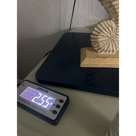 Seahorse Sculpture Figurine 12" Nautical Coastal Seashore Beach Aquarium decor - Picture 8 of 11